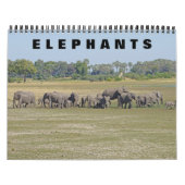 ELEPHANTS KALENDER (Hoes)