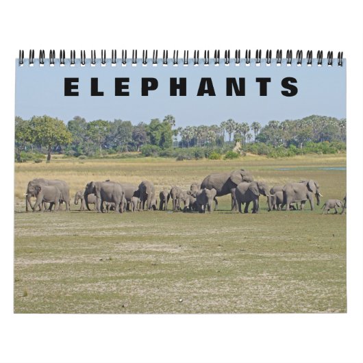 ELEPHANTS KALENDER (Hoes)