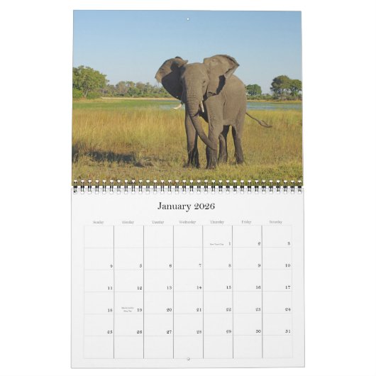 ELEPHANTS KALENDER (Jan 2026)