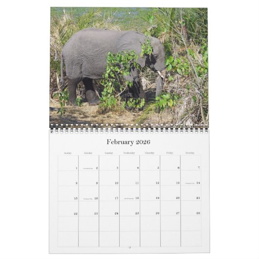ELEPHANTS KALENDER (Feb 2026)