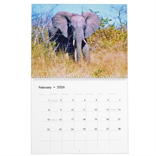  elephants kalender (Feb 2026)