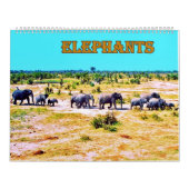 elephants kalender (Hoes)