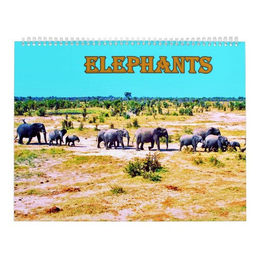 elephants kalender (Hoes)