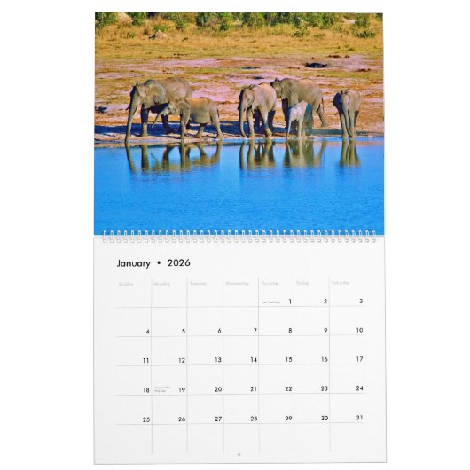 elephants kalender (Jan 2026)
