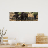 Elephant's legance poster (Keuken)