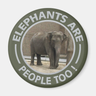 ELEPHANTS magnet