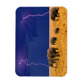 Elephants Magnet Magneet (Verticaal)