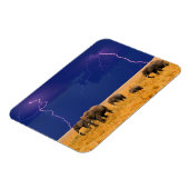 Elephants Magnet Magneet (Linkerzijde)