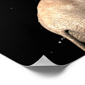 Elephants maken volle maan poster (Hoek)