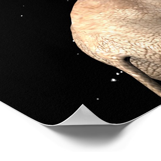 Elephants maken volle maan poster (Hoek)