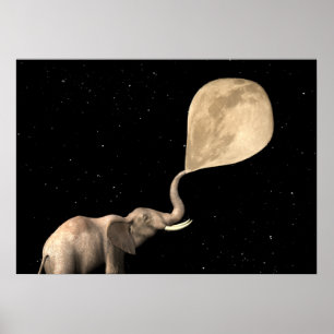 Elephants maken volle maan poster