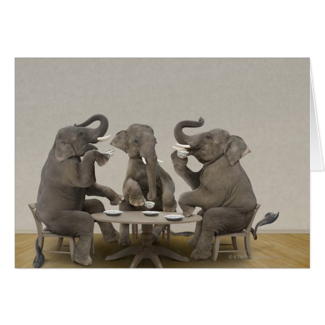 Elephants met theefeestje (Voorkant Horizontaal)