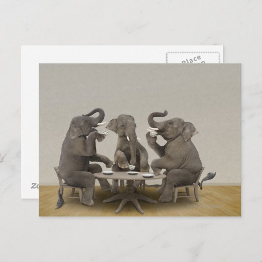 Elephants met theefeestje briefkaart (Voorkant / Achterkant)