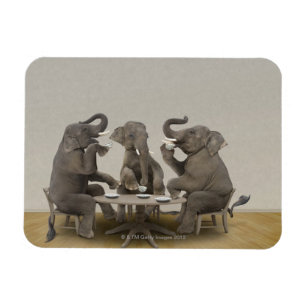 Elephants met theefeestje magneet