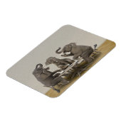 Elephants met theefeestje magneet (Linkerzijde)