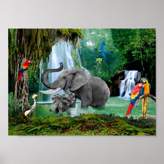 ELEPHANTS OF THE RAIN FOREST POSTER (Voorkant)