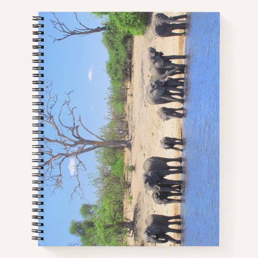Elephants op het Notitieboek van de Spiral Bound (Voorkant)