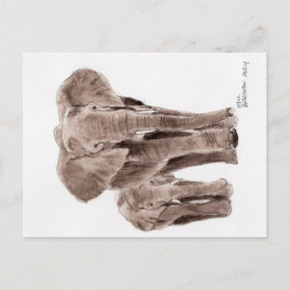 elephants post card briefkaart