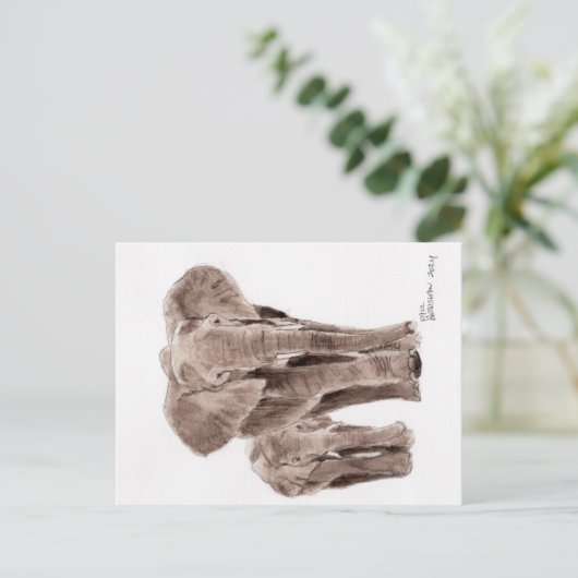 elephants post card briefkaart (Staand voorkant)
