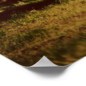 Elephants-poster Poster (Hoek)