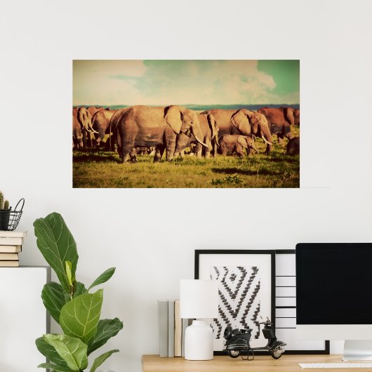 Elephants-poster Poster (Thuiskantoor)
