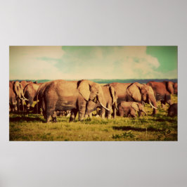 Elephants-poster Poster