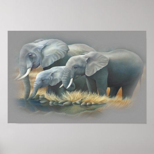 Elephants-Poster Poster (Voorkant)