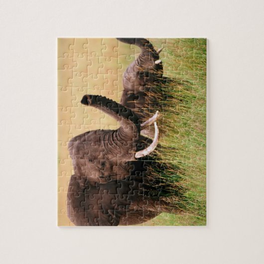 Elephants Puzzle Legpuzzel (Verticaal)