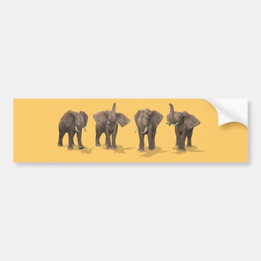 Elephants Quartet Bumpersticker (Voorkant)