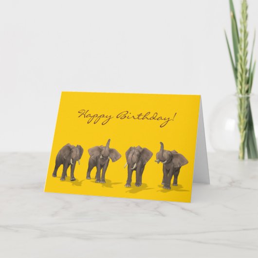 Elephants Quartet Happy Birthday Kaart (Voorkant)
