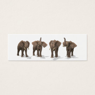 Elephants Quartet Mini Visitekaartjes
