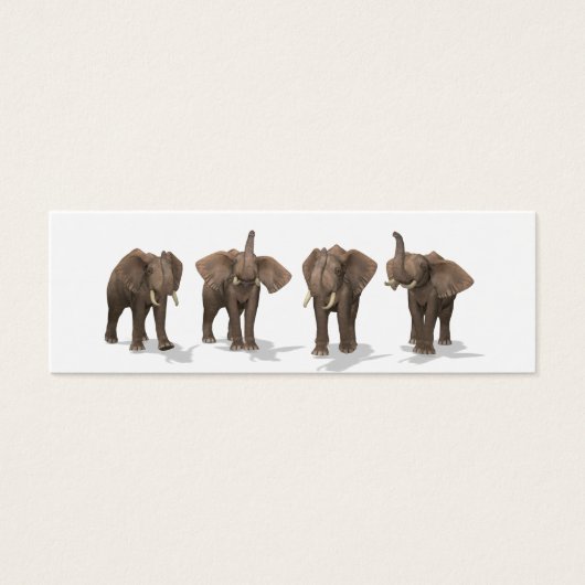 Elephants Quartet Mini Visitekaartjes (Voorkant)