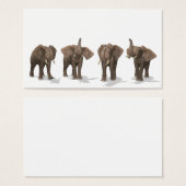 Elephants Quartet Visitekaartjes (Voorkant /achterkant)