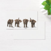 Elephants Quartet Visitekaartjes (Bureau)