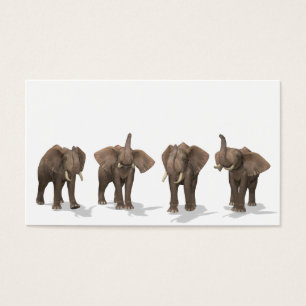 Elephants Quartet Visitekaartjes