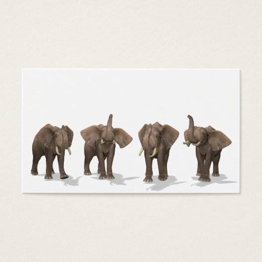 Elephants Quartet Visitekaartjes (Voorkant)