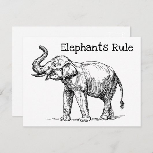 Elephants-regel Briefkaart (Voorkant / Achterkant)