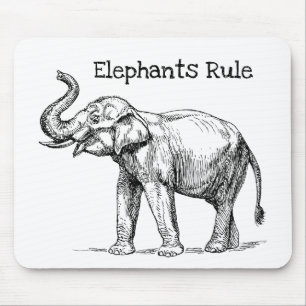 Elephants-regel Muismat