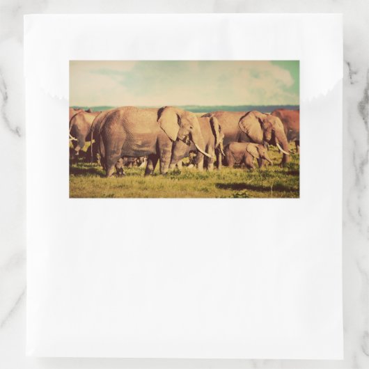 Elephants-stickers Rechthoekige Sticker (Tas)