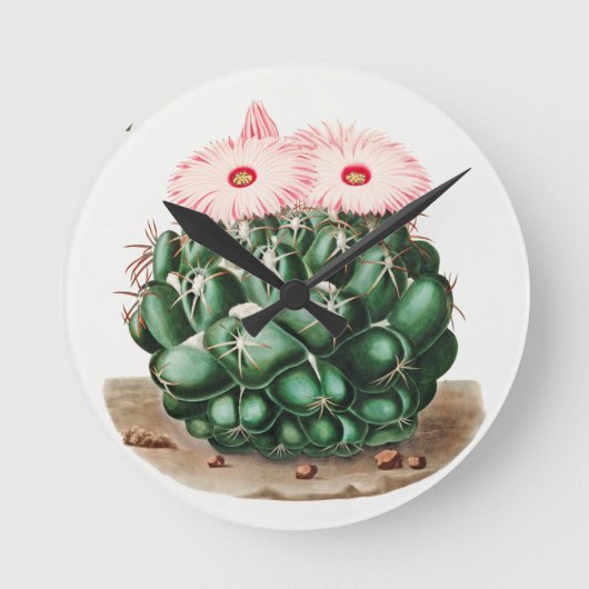 Elephant's Tooth Cactus Flower-illustratie Ronde Klok (Voorkant)