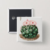 Elephant's Tooth Cactus Flower-illustratie Vierkante Button 5,1 Cm (Voorkant /achterkant)