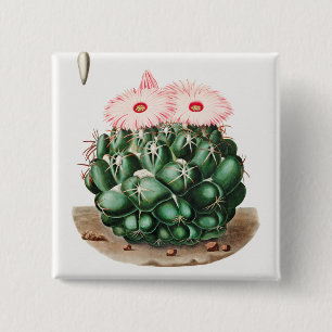 Elephant's Tooth Cactus Flower-illustratie Vierkante Button 5,1 Cm