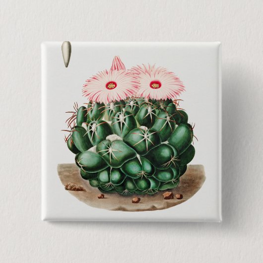 Elephant's Tooth Cactus Flower-illustratie Vierkante Button 5,1 Cm (Voorkant)