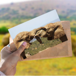 Elephants Tussling Briefkaart