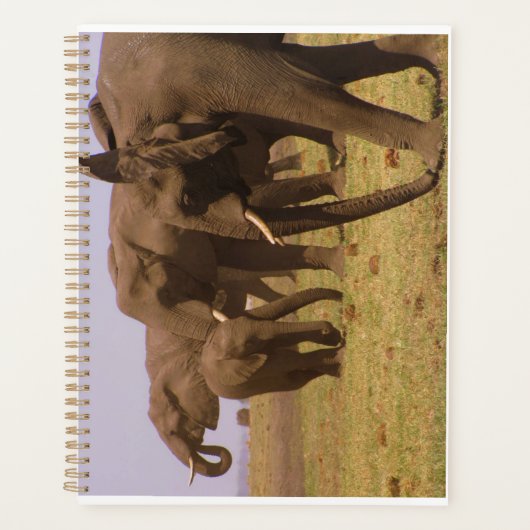 Elephants van Chobe Planner (Voorkant)