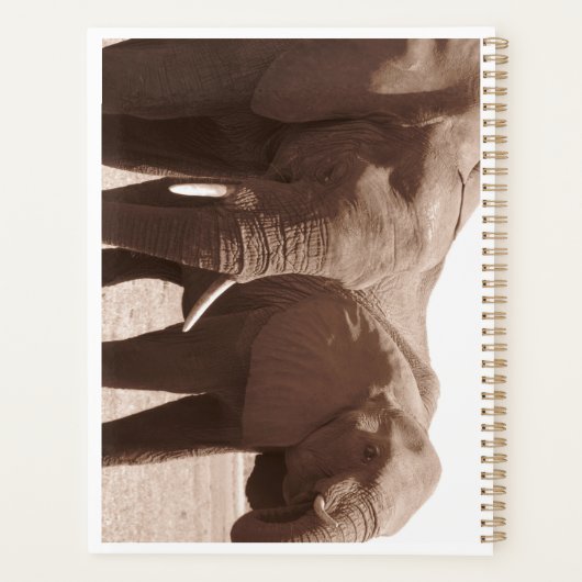 Elephants van Chobe Planner (Achterkant)
