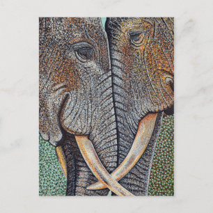 Elephants vergeten nooit briefkaart