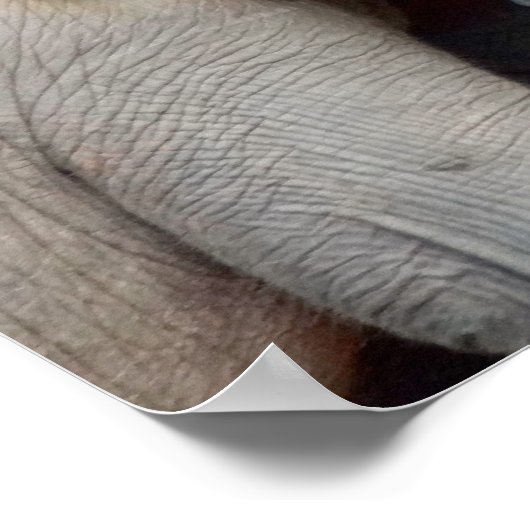 Elephants voor moeder en dochter poster (Hoek)