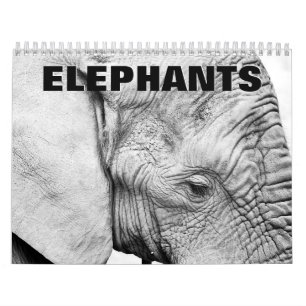 Elephants Wall Calendar Kalender