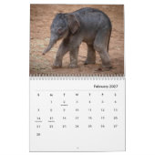 Elephants Wall Calendar Kalender (Feb 2027)